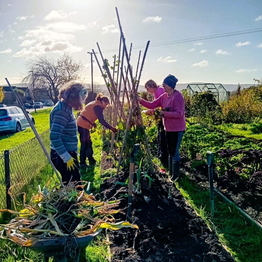 Four participants at a Petworth Community Garden session work together to put up support structures for growing vegetables on a bright, sunny day.