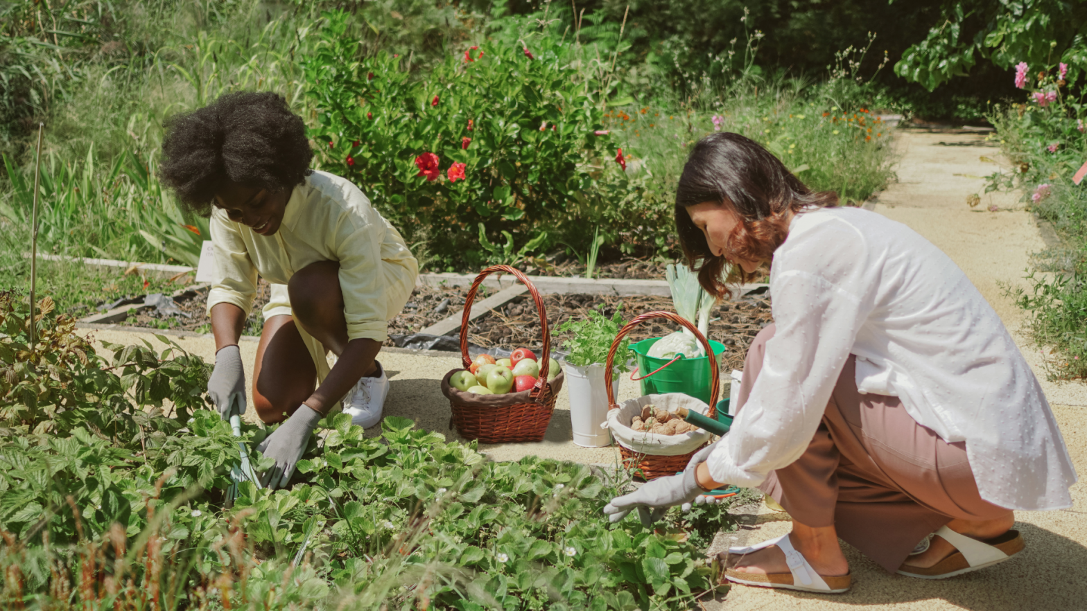 Planting for social value